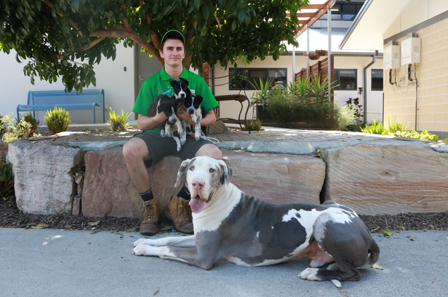 update on puppies that were dumped in inala
